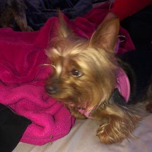 Meet your Posher, Silvia